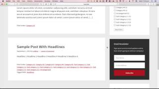 Filtering Posts by Categories using FacetWP in Genesis