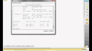 Celebrity Easy STP config.avi Profile