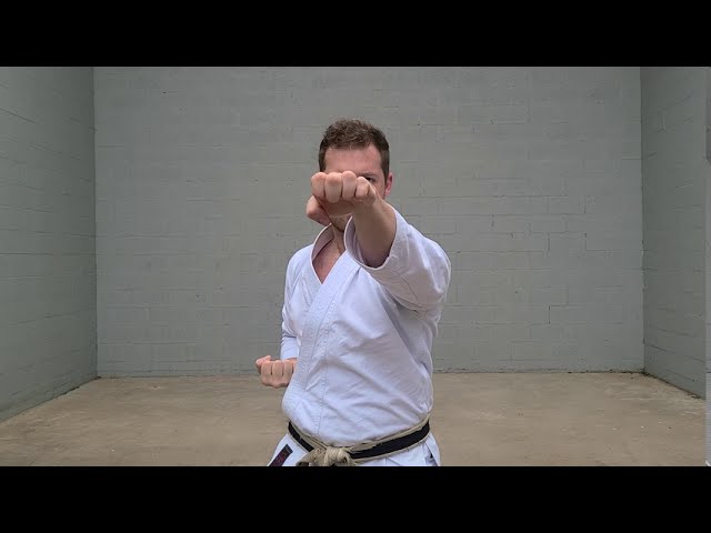 Karate Moves | RYUTE TSUKI - DRAGONS HEAD PUNCH