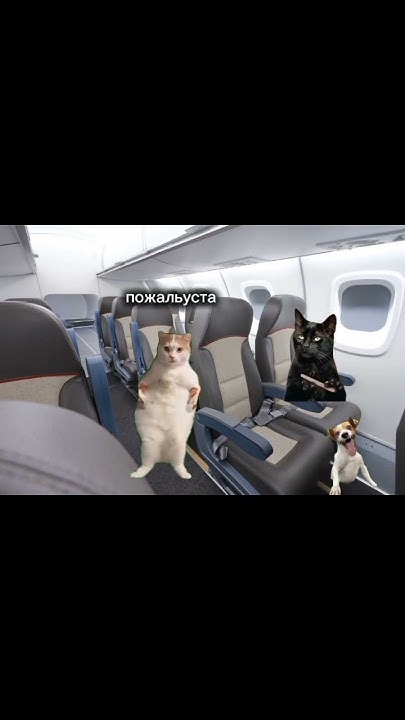 сын прыгнул с парашюта - YouTube
