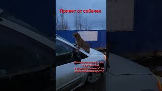 31 января 2026 г.