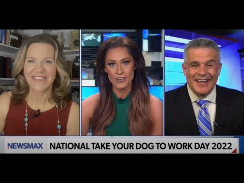 Video: Host a Take Your Dog To Work Day Party