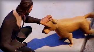 Fortnite But I Need Doggo Therapy