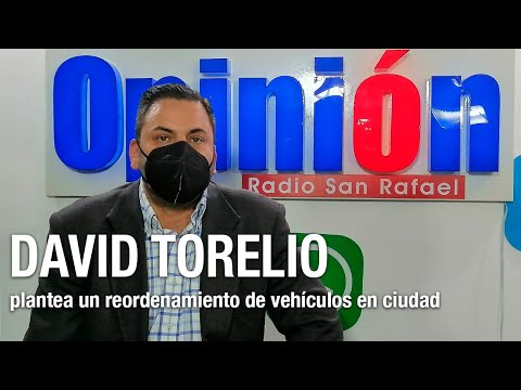 Torrelio plantea un reordenamiento de veh&iacute;culos en ciudad