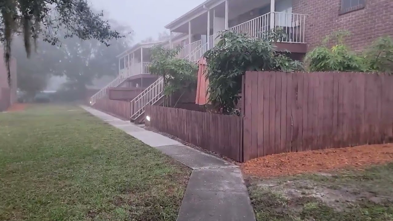 Day seven of 365 videos - A foggy morning