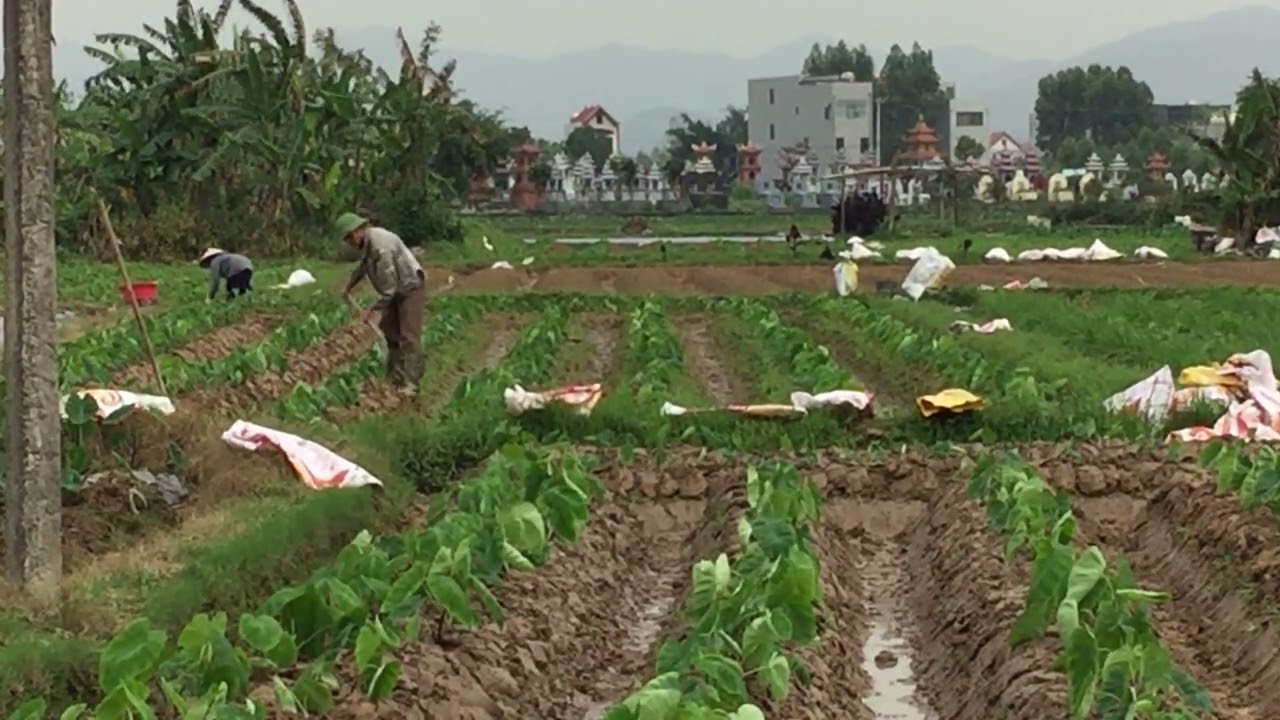 The Spinning Community: Connecting Through Craft