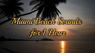 1 Hour of Miami Beach Wave Sounds for Sleep &amp; Relaxation | Miami Waves