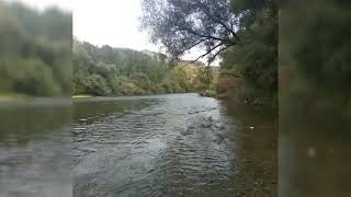 Yanmadin Mi Taş Olsan Da