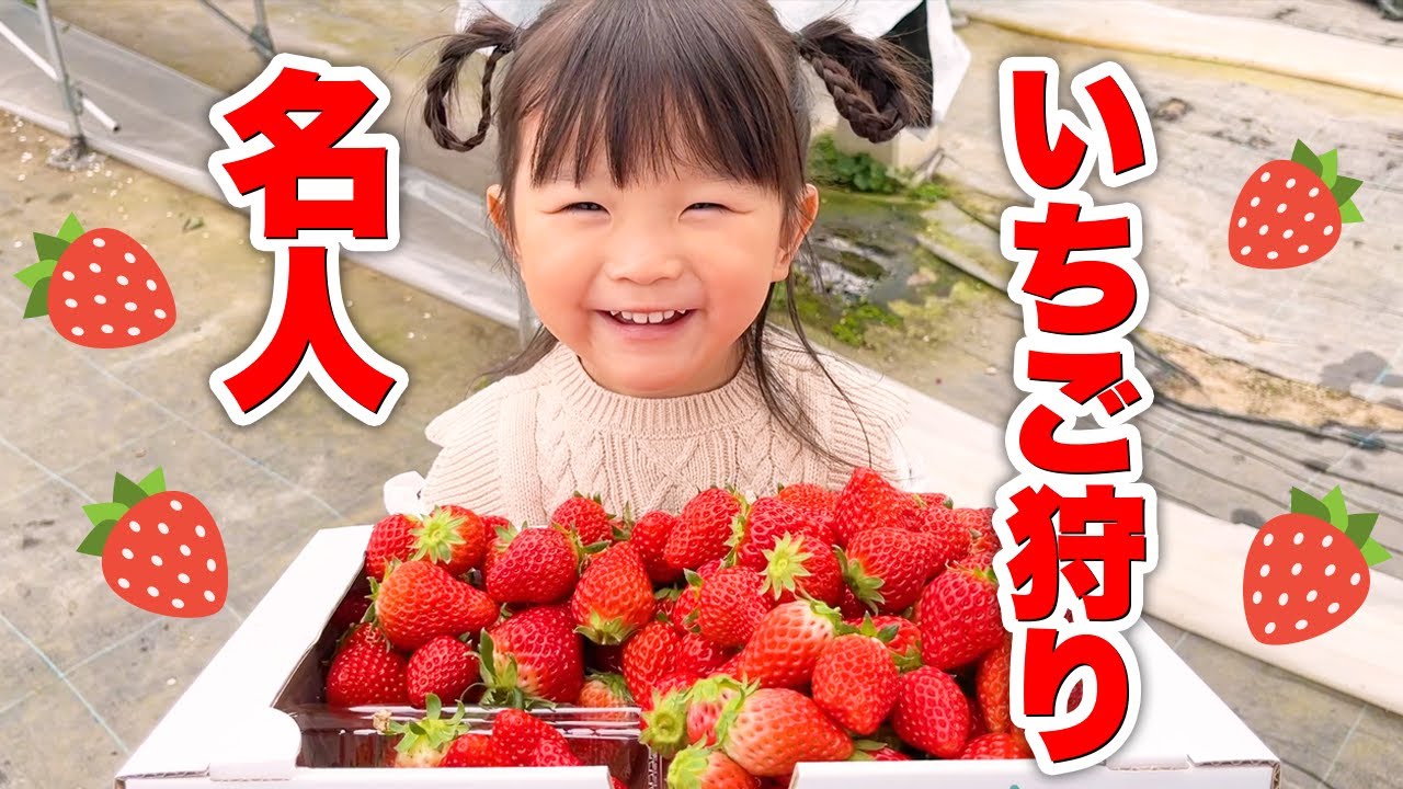 ののちゃんイチゴ狩りの名人でした🍓 - YouTube