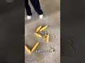 Automatic peeling, high efficiency, batch peeling, labor saving#红薯削皮机