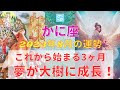 かに座さん♋️⭐️8月から夢を叶える3ヶ月間が始まる⭐️夢が大樹に成長🌳⭐️
