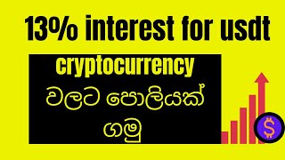 cryptocurrency වලට පොලියක් ගමු | USDT වලට 13 % ක් | passive crytpo income | sl passive income