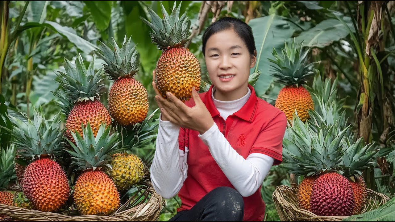 Harvesting Mutant Wild Pineapple Goes to the Market to Sell | Ella New Life