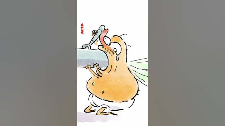 🔞😏 Ces mouches ont très très faim #reproduction #animaux