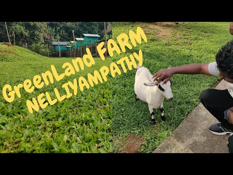 Green Land Farm | Nelliyampathy | Kerala