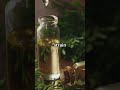 How to Make an Herbal Tincture (Step-by-Step) #homesteading #facts