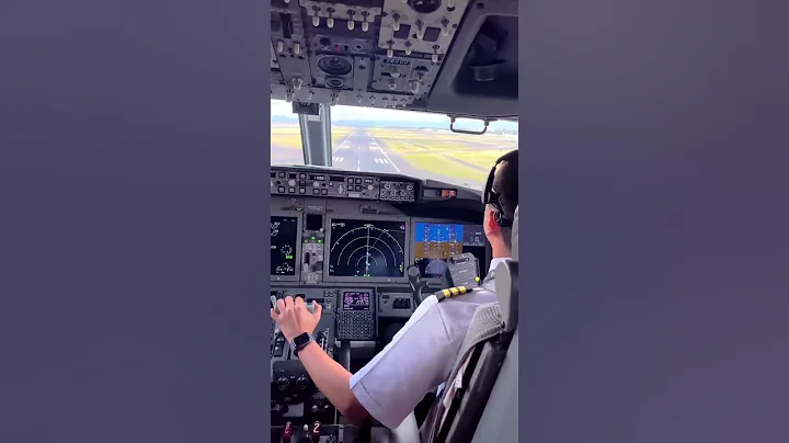 Boeing 737 Max Landing  - Cockpit View #shorts
