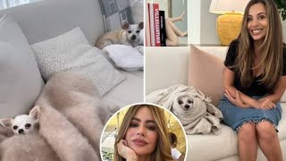 Inside Sofia Vergara's $18M Mansion: A Peek at Her Glamorous Living Room Featuring a $1.8K Hermes