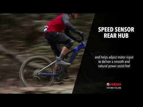 Speed Sensor Rear Hub