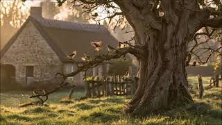 Chirping Birds Near Village Home | Peaceful Nature Ambience