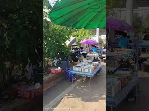 30 มีนาคม ค.ศ. 2026