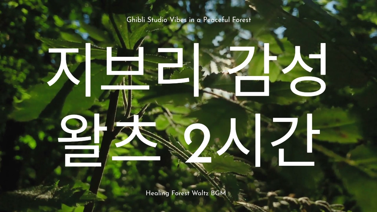 햇살 내리는 숲속, 마음이 쉬어가는 지브리 감성 왈츠 🌿 | 2 Hours Ghibli Vibes in a Sunlit Forest