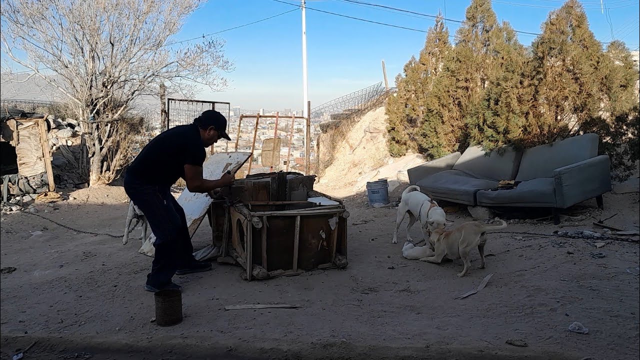 Arreglando la casa de los perros 