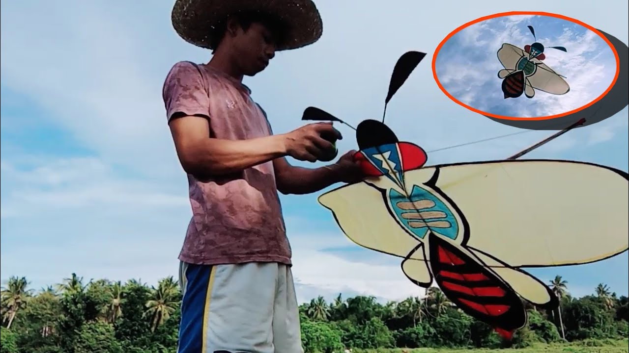 TEST FLY SA SARANGGOLA NA BUBUYOG | ANG PAG LIPAD.