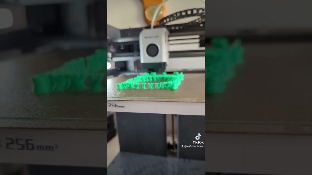 upgrade de ma p1p vers la p1s 