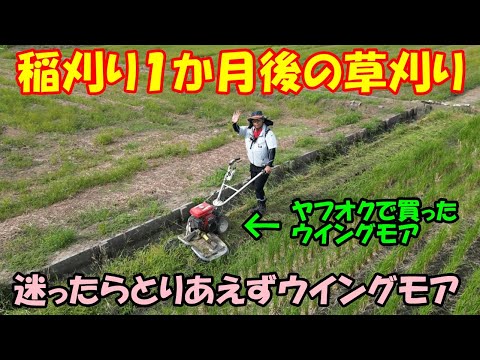 稲刈り1か月後の草刈り・20250921 田んぼ・2026 - YouTube