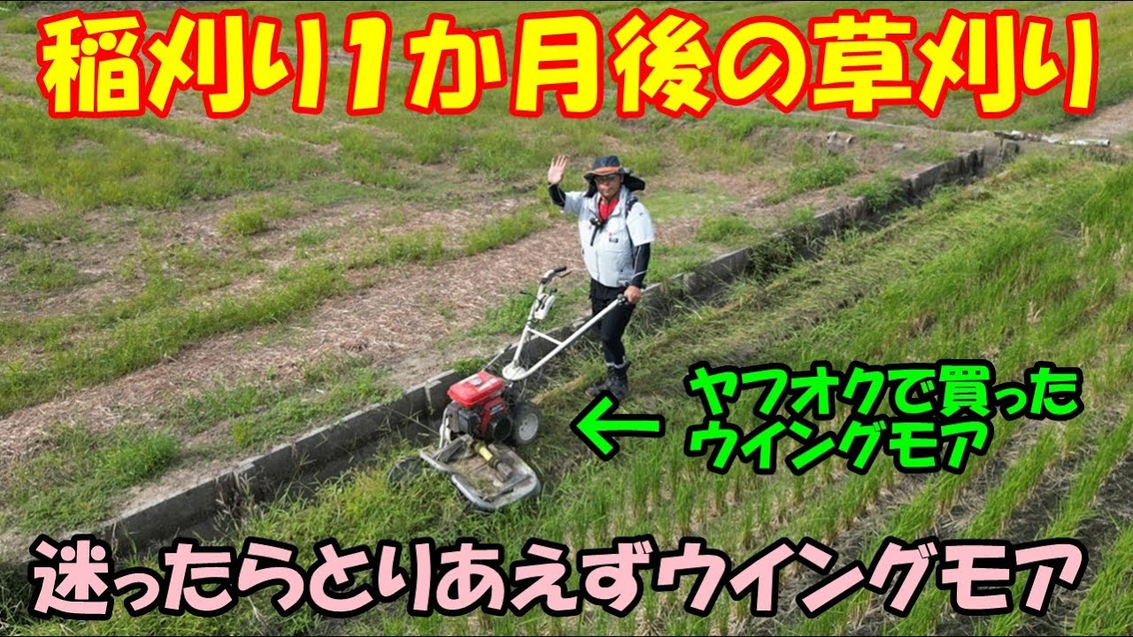 稲刈り1か月後の草刈り・20250921 田んぼ・2026 - YouTube