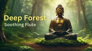 Deep Forest Serenity: Buddha's Flute Meditation | Soothing Flute