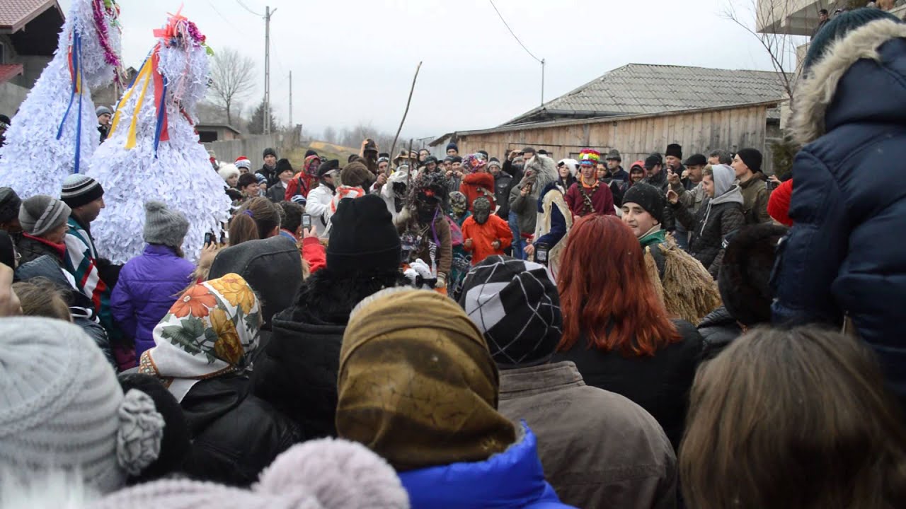 capra de la ursoaia 2013-2014