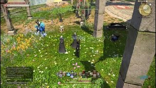 FINAL FANTASY XIV EndWalker MSQ: Lives Apart