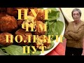 Нут. Чем полезен нут?