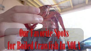 New Orleans Favorite Boiled Crawfish Spots Revealed!