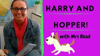 Harry & Hopper// Ready Set Read- Premier's Reading Challenge 2020