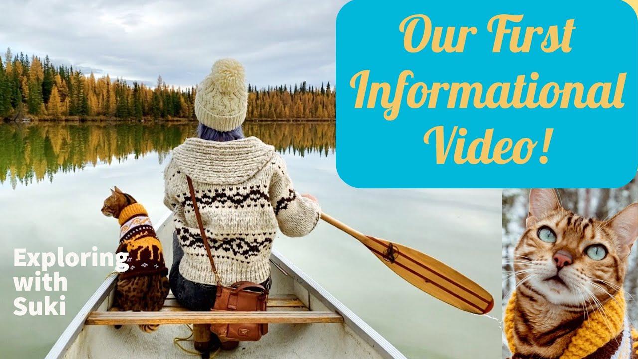 Our First Informational ADVENTURE CAT Video! YouTube