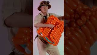 Balloon Charizard Credit To