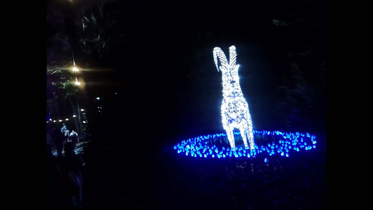 Marley park Christmas lights walk. Lovely experience 