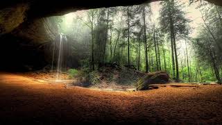 תלמיד אמיתי זה גם כאשר לא מסתדר לי - אמונת חכמים פשוטה