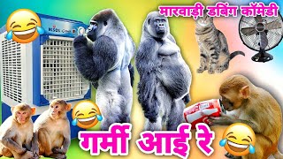 देसी जानवरो की गर्मी स्पेशल मारवाड़ी कॉमेडी | Summer Special Funny Animal Marwadi Dubbing Comedy