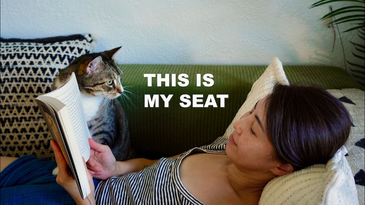 Cat politely claiming that the couch is his seat