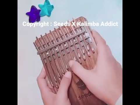#197 #恋曲1990 #SeedsKalimba #KalimbaAddict #Kalimba #คาลิมบา #คาลิมบ้า