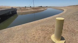 CITY HALL PICK UP Water resources scarce in Dos Palos after algae blockage at wa