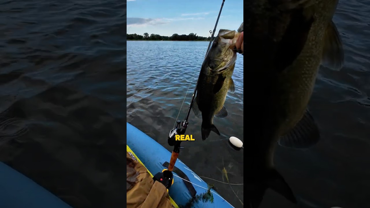 The Rod Built for Anglers — Not Branding