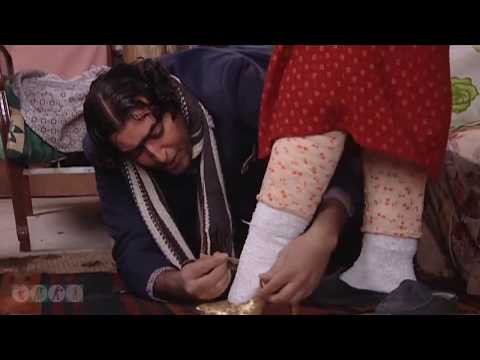 جودة يهدي ديبة تاسومة سندريلا ضيعة ضايعة