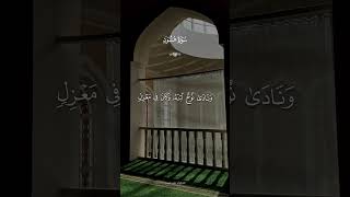 وقال اركبوا فيها القارئ علاء عبدة