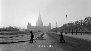 Sadsvit Любимый Друг