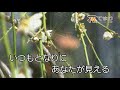 木村好夫　たまゆらの宿　花のステージ670－339